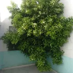 Casa Familiar La Lunara * Caces