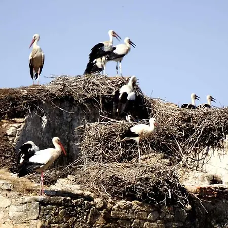 Casa Familiar La Lunara