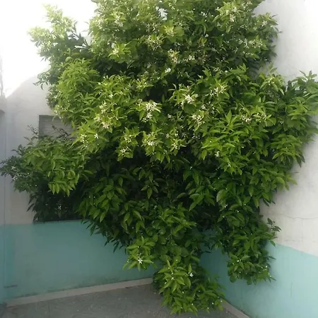 Casa Familiar La Lunara * Caces
