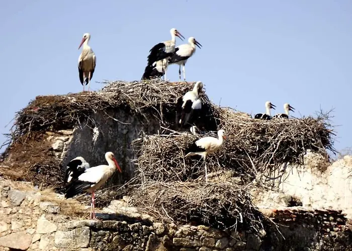 Casa Familiar La Lunara