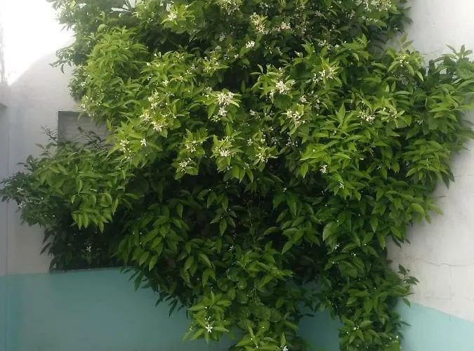 Casa Familiar La Lunara * Caces